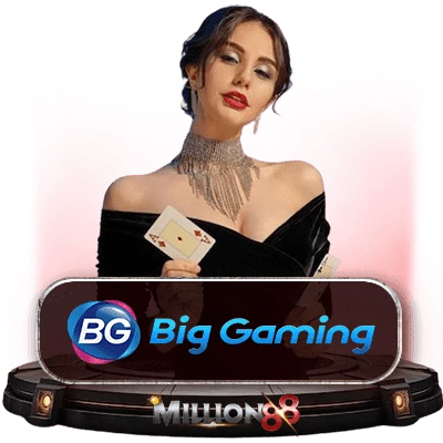 VIP Program
